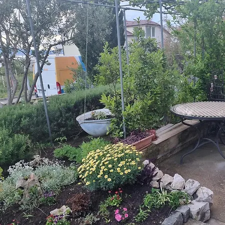 Апартаменты Sanda *